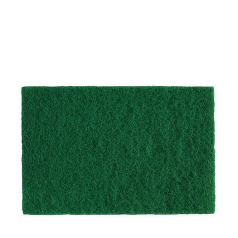 Heavy Duty Green Nylon Scourer 24 x 14cm (Pack of 10) (14070)