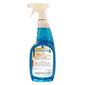 Arma Window and Glass Cleaner Trigger Spray 750ml (14206)