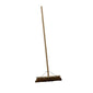 Bassine Broom With Handle - Trade Packs