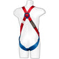 Portwest FP12 2 Point Harness