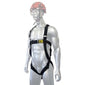 ARESTA Scaffolder Kit 6E, Elasticated Harness, Single Lanyard - AK-S06E