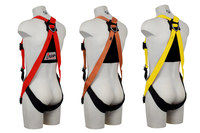 ARESTA MEWP Kit, Black and Red Harness, 2m Lanyard, Backpack - AK-M03AA-BR