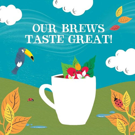 Clipper Fairtrade Organic Italian Style Ground Coffee, 227g - NWT090