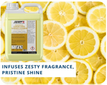 Janit-X Professional Lemon All Purpose Cleaner Concentrate, 5 Litre - NWT3367