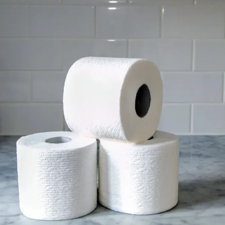 Janit-X 2 Ply 320 Sheet Toilet Rolls, Pack of 40 - NWT7509