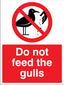 Do Not Feed The Gulls