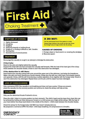 First Aid Choking 420x594mm Poster