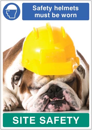 Safety Helmets Must Be Worn - Dog Poster 420x594mm Synthetic Paper