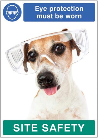 Eye Protection Must Be Worn - Dog Poster 420x594mm Synthetic Paper