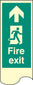 Door Plate - Fire Exit Right Photo