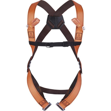 Deltaplus Fall Arrest 2-Point Harness