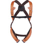 Deltaplus Fall Arrest 2-Point Harness