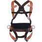 Deltaplus 4 Point Harness C/W Support Belt